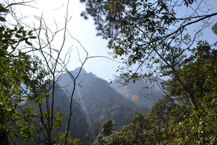 山林间远眺连绵山脉