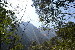 山林间的阳光穿透景象