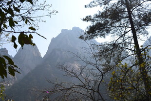 山间巍峨奇峰与树木景观