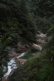 山间溪流 绿意盎然的景致