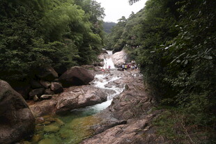 山间溪流穿林而过