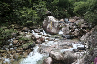 山间溪流穿石而过