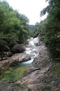 山间溪流 绿意盎然的景致