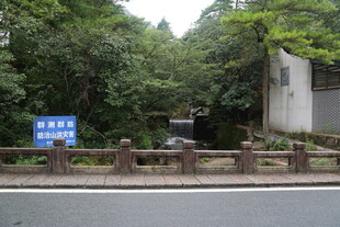 山林中的蓝色指示牌