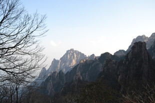 巍峨群山与枯树景观