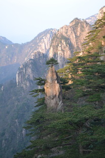 峻岭松影 山间壮丽景致