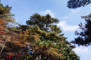 秋日山林蓝天美景