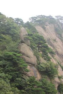 峻峭山峰覆绿植