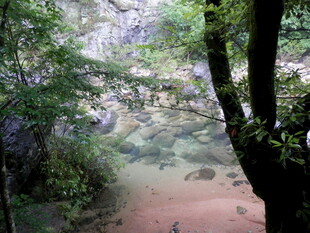 山林间的清幽小径