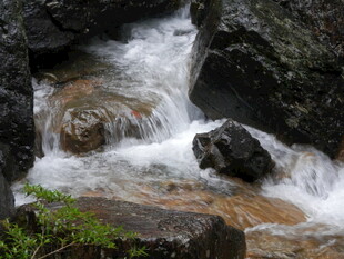 山间溪流潺潺过石间