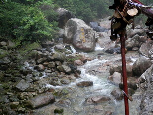 山间溪流旁的徒步登山杖