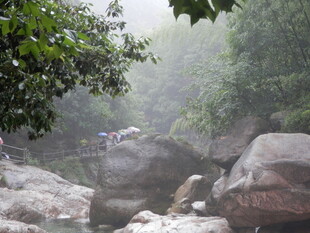 山林溪边的徒步场景