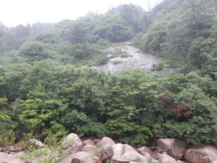 山间绿意盎然的自然景致