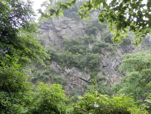 山林绿意盎然的自然景致