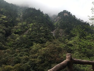 山间云雾缭绕的葱郁景致