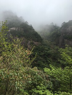 云雾缭绕的山林美景