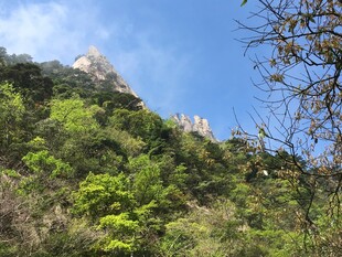 青山绿树间的巍峨山峰