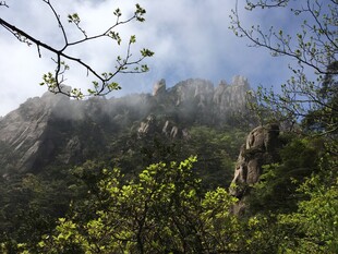 青山绿树间的秀丽山景