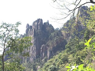 奇峰林立的秀丽山林景观