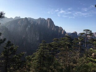 壮丽山景与葱郁林木