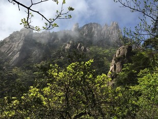 青山绿树间的云雾缭绕