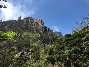 青山绿树间的巍峨山峰