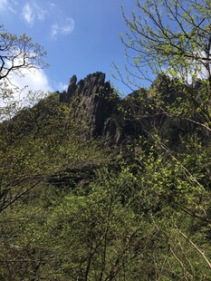 青山绿树间的巍峨山峰