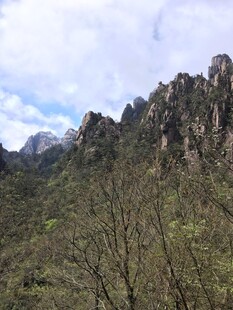 壮丽山景 植被覆盖的山峦
