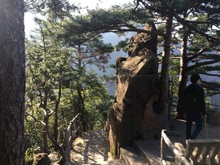 林间雕像 自然中的艺术景观