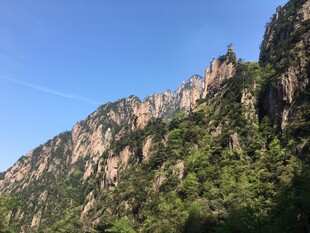 巍峨青山绿意浓