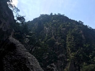 巍峨青山绿意浓