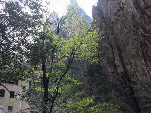 山间景致 绿树掩映峭壁
