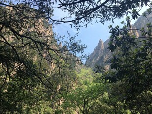 山林间的秀丽峡谷风光