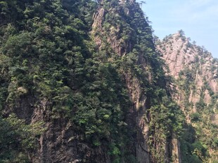 巍峨青山 绿意盎然的峭壁