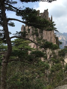 黄山奇峰异松秀丽风光