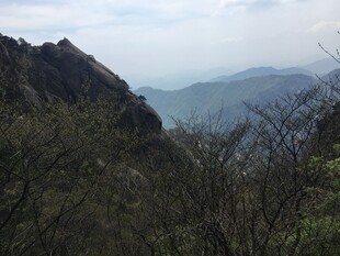 山间景致 绿意盎然的山峦