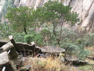 山间石景与绿植相映成趣