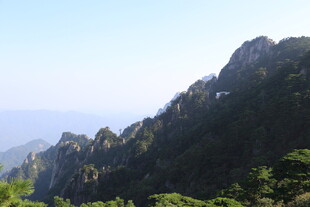 巍峨青山绿意浓