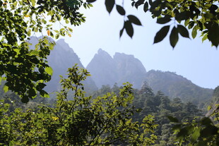 山林间的秀丽山峰景色