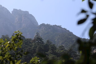 秀丽山峦与葱郁植被
