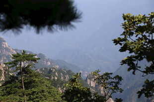 黄山秀丽山林景观