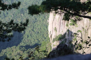 峻峭山峰与葱郁林木景观
