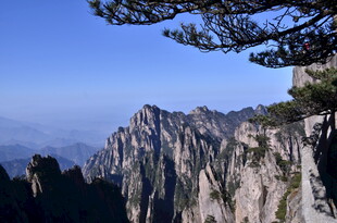 巍峨黄山奇峰 松立峭壁