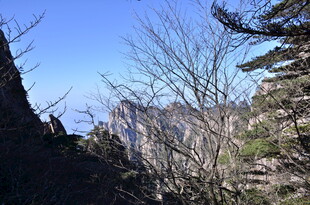 山间美景 蓝天绿树相衬