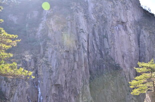 悬崖峭壁间的苍松