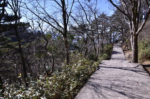 山间幽静石板小径