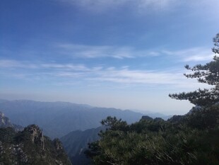 山巅之上的蓝天绿树景观