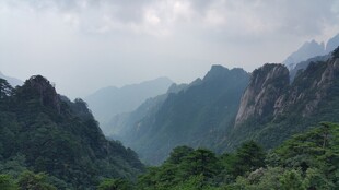 壮丽山峦间的葱郁景致
