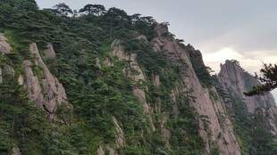 峻峭黄山 奇峰绿意盎然