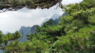 青山绿树间的秀丽山景